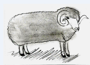 �����������